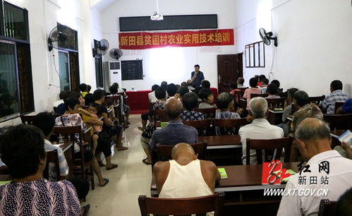 新田县职中 技能培训点亮群众致富路